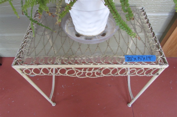 METAL PLANT STAND & LIVE POTTED FERN
