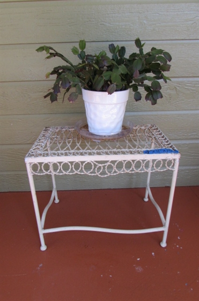 RECTANGULAR METAL PLANT STAND WITH LIVE POTTED CACTUS