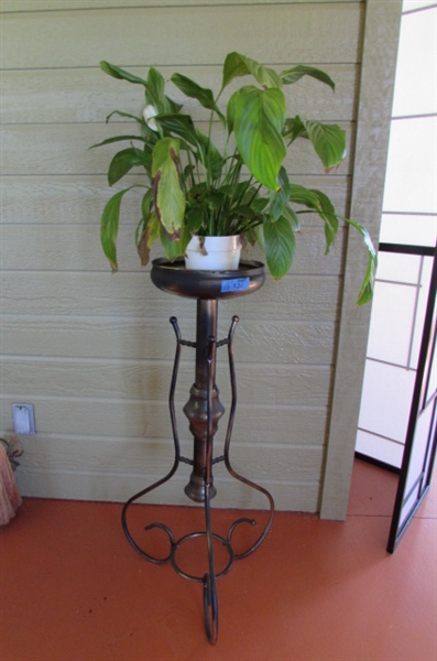 METAL PLANT STAND WITH LIVE POTTED HOUSE PLANT