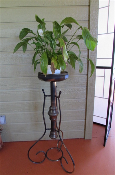 METAL PLANT STAND WITH LIVE POTTED HOUSE PLANT