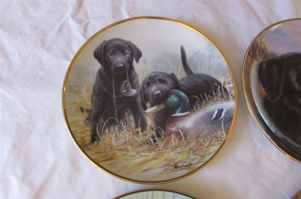 FRANKLIN MINT COLLECTOR PLATES WITH DOGS