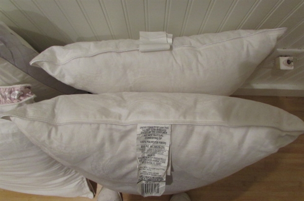 Bed Pillows and Throw Pillows