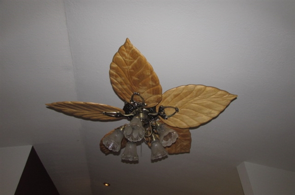 Beautiful Ceiling Fan with Light