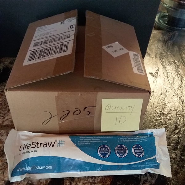LifeStraw 10 Ct
