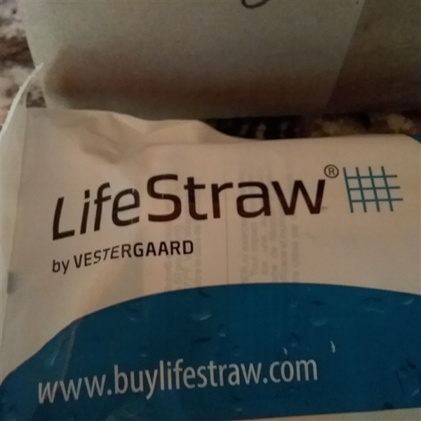 LifeStraw 10 Ct