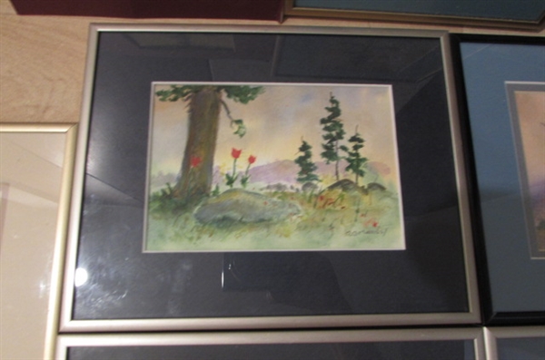 Framed Watercolor Paintings and more