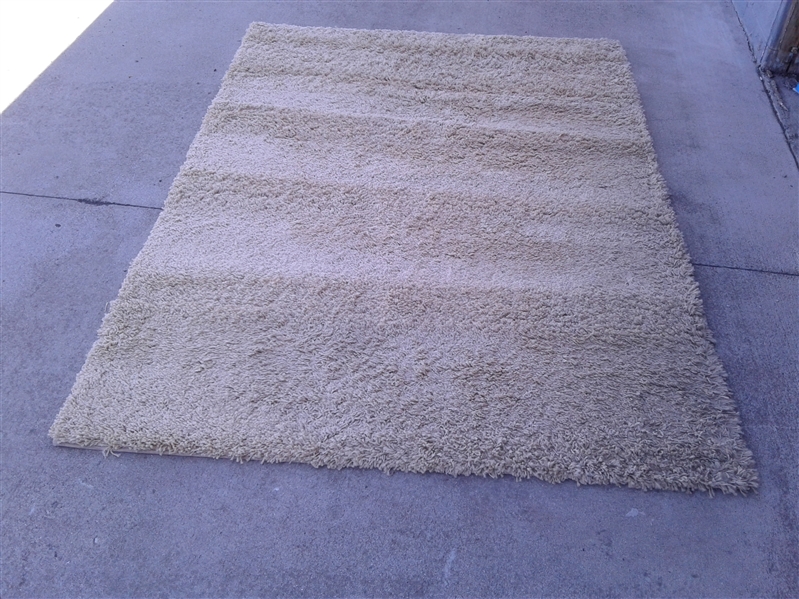 Tan Area Rug 5x6