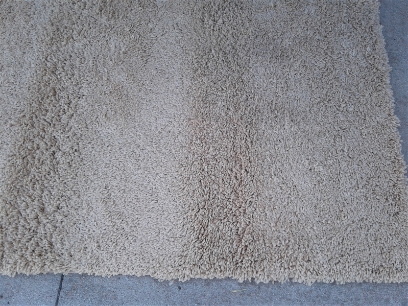 Tan Area Rug 5x6