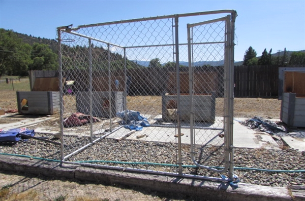 CHAIN LINK DOG KENNEL