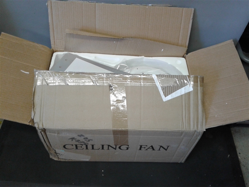 Celing Fan with Light