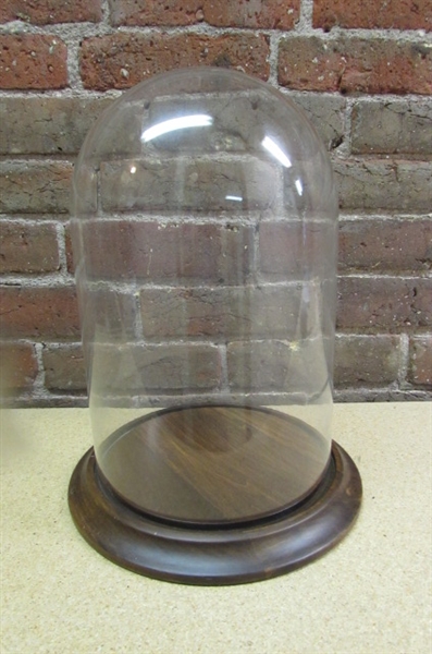 WOOD BASE WITH GLASS DOME