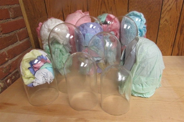 ASSORTMENT OF GLASS DOMES
