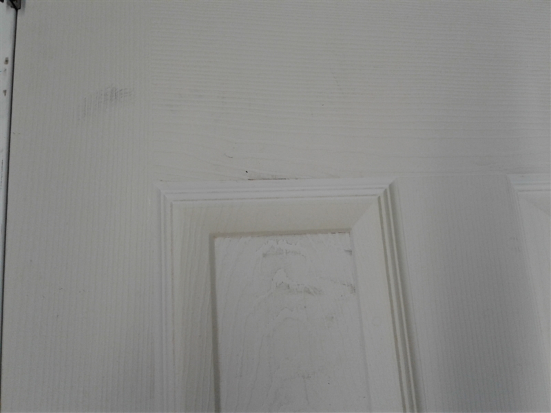Interior Molded Wood Door