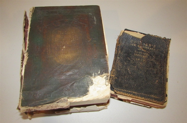 ANTIQUE DICTIONARY AND HEALTH BOOK