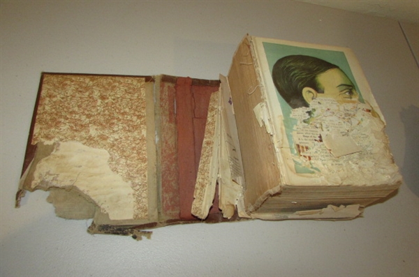 ANTIQUE DICTIONARY AND HEALTH BOOK