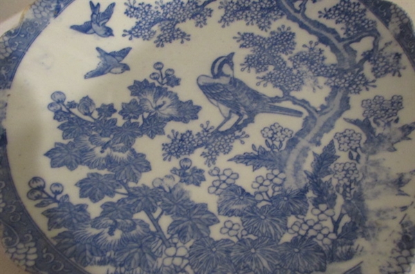 ROYAL CRAWFORD AND FASHODA BEAUTIFUL BLUE CHINA PIECES