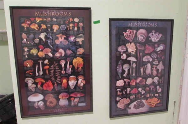 EDIBLE MUSHROOM POSTERS