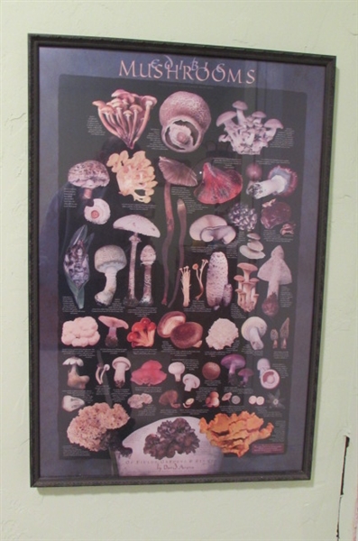 EDIBLE MUSHROOM POSTERS