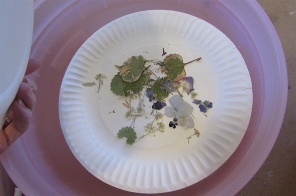 BUCKETS OF HAND DRIED FLOWERS, LEAVES, AND SUPPLIES PLUS HOW TO DRY FLOWER BOOKS