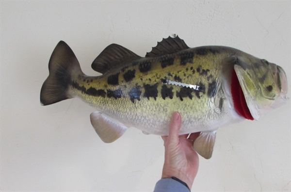 LARGE TROPHY FISH