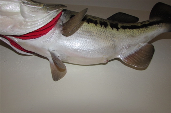 LARGE TROPHY FISH