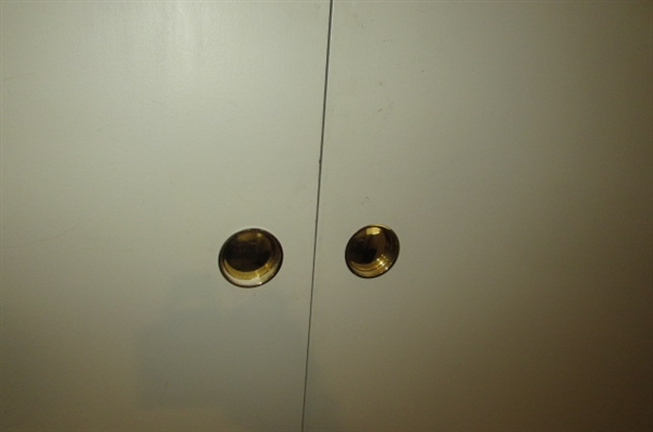 PAIR OF CLOSET DOORS