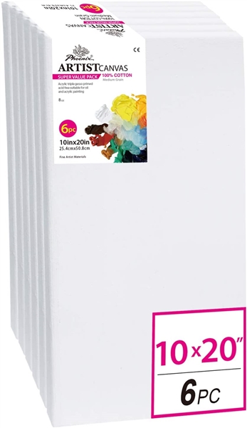  PHOENIX White Blank Cotton Stretched Canvas Artist Painting - 10x20 Inch / 6 Pack