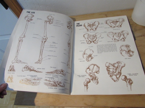 ANATOMY CHART, BOOK & CDS