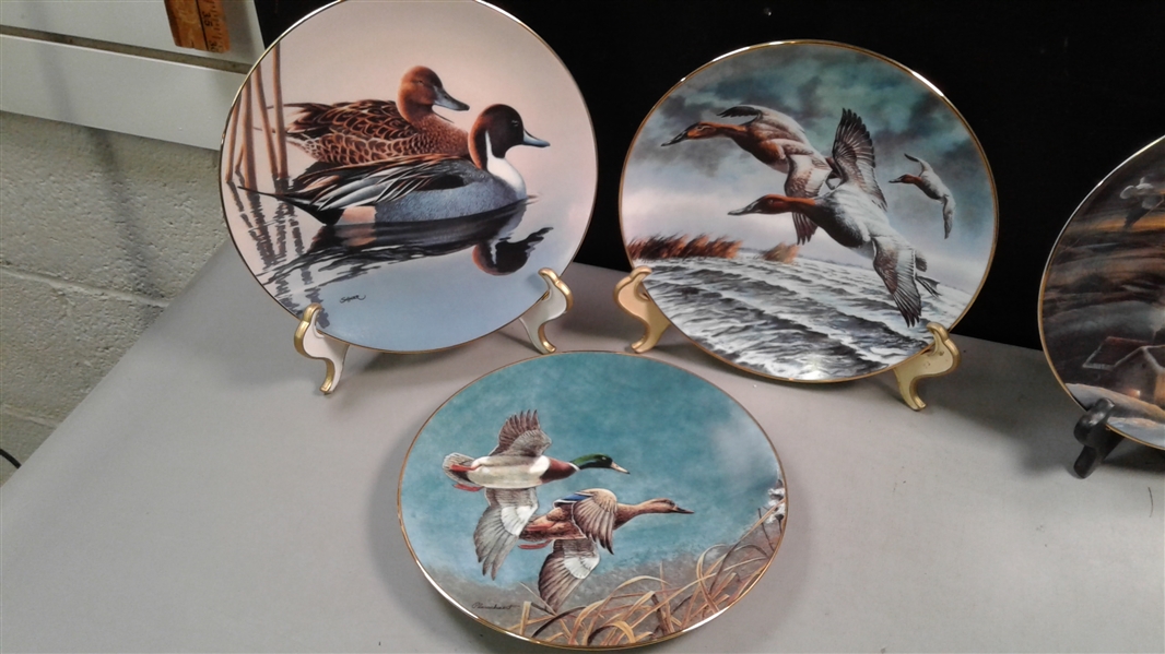 Collector Plates