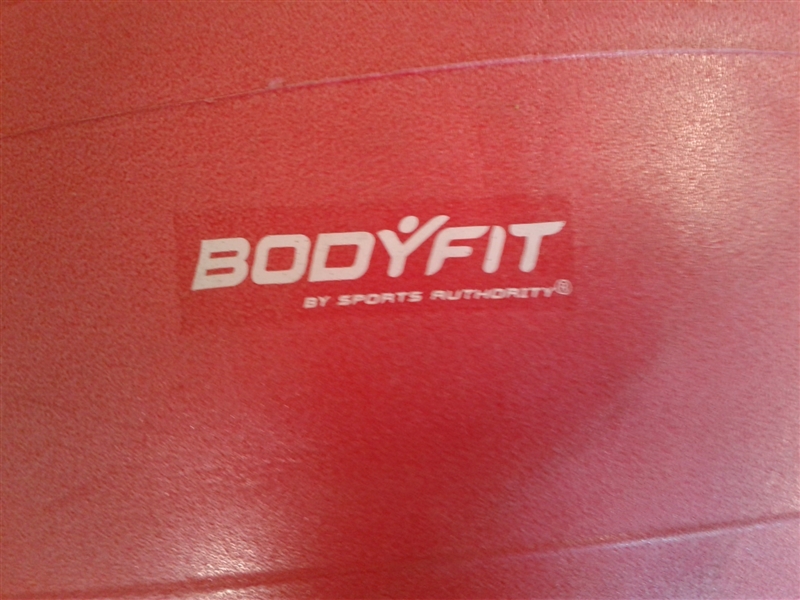 Bodyfit Exercise Ball w/Pump and Pedometer