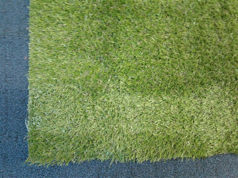 Artificial Grass 