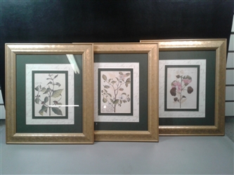 Trio of Matted and Framed Art