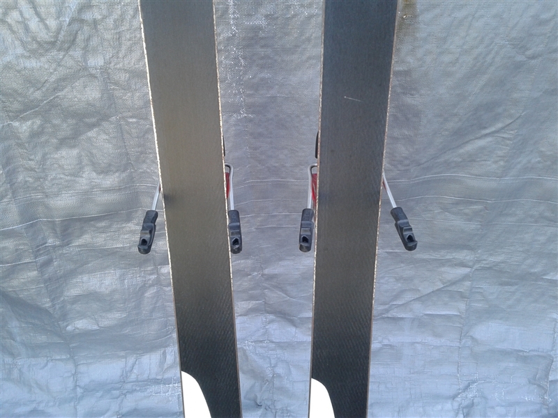 Nordica The Beast Skies and Scott Poles 
