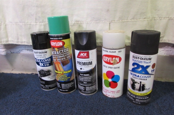 Misc. Paints & Cleaners