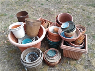 Over 40 Planter Pots And Bases 