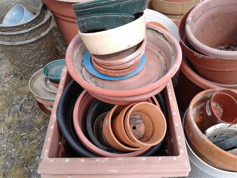 Over 40 Planter Pots And Bases 