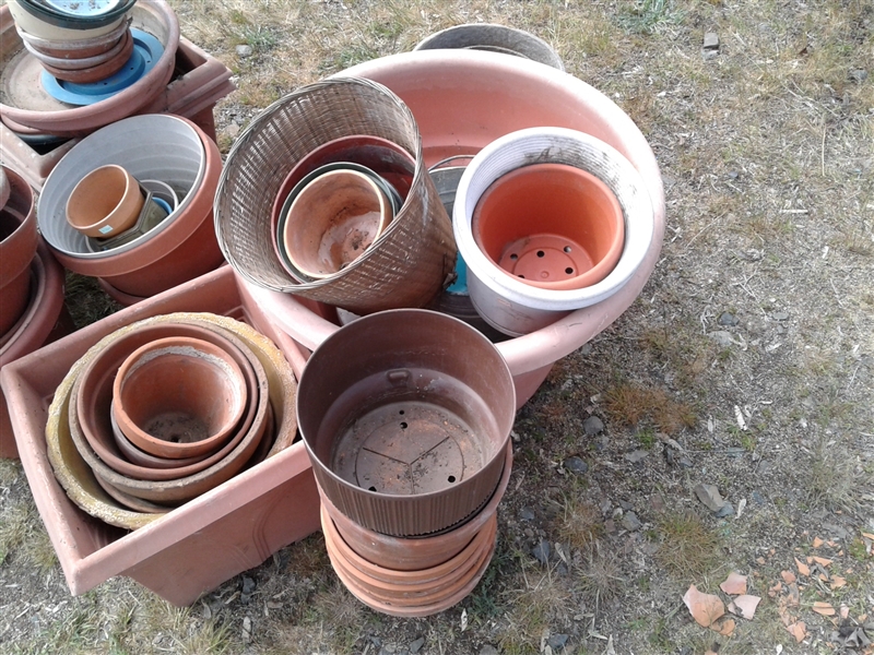 Over 40 Planter Pots And Bases 