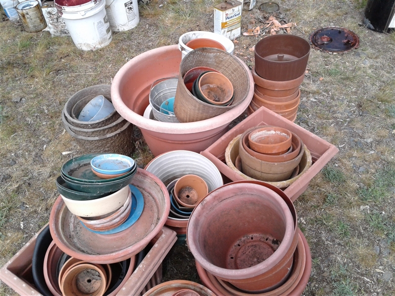 Over 40 Planter Pots And Bases 