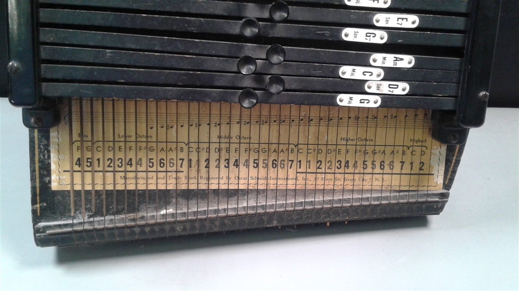 The Autoharp Vintage Primitive String Instrument