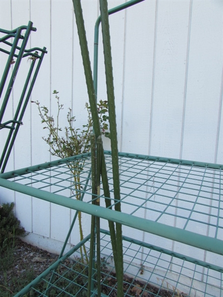 GARDEN SHELF & PLANT STAKES/SUPPORTS