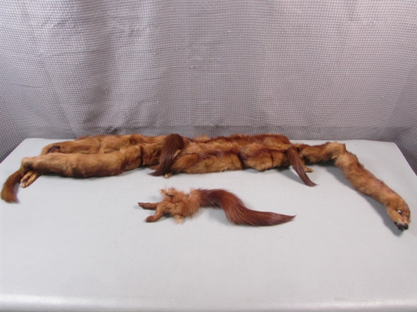5 Mink Real Fur Stole/Scarf. Tail/Legs on one is loose.