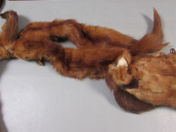 5 Mink Real Fur Stole/Scarf. Tail/Legs on one is loose.