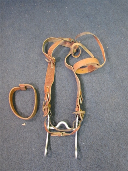 Leather Horse Tack- Breast Collar, Bridle, & Bit