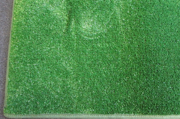 Faux Grass Carpet 4x6