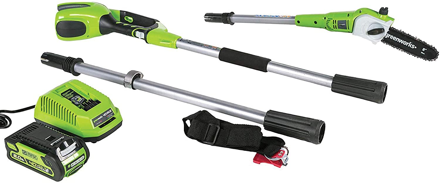 Lot Detail - Greenworks 40V 8-inch Cordless Pole Saw, 2.0 AH Battery ...