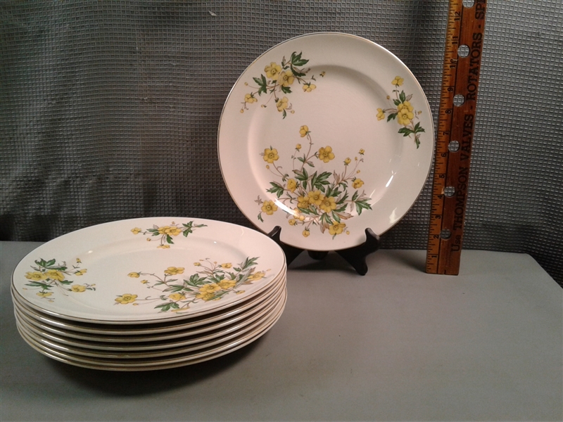 Vintage Discontinued Knowles Buttercup China 47 Piece Set