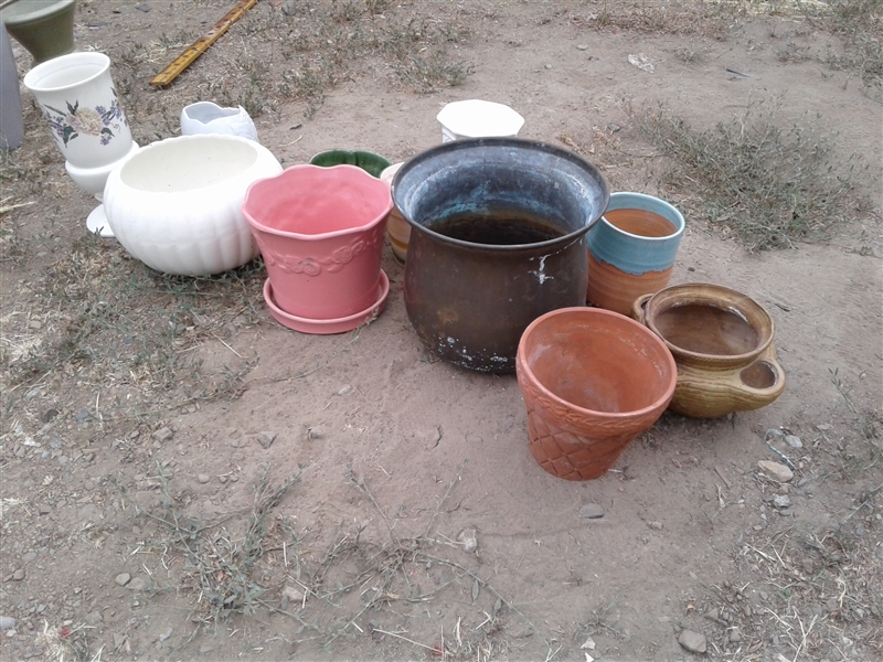 Pots and Planters