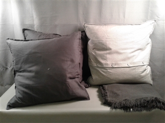 3 Duck Feather 20x20 Throw Pillows and Throw Blanket