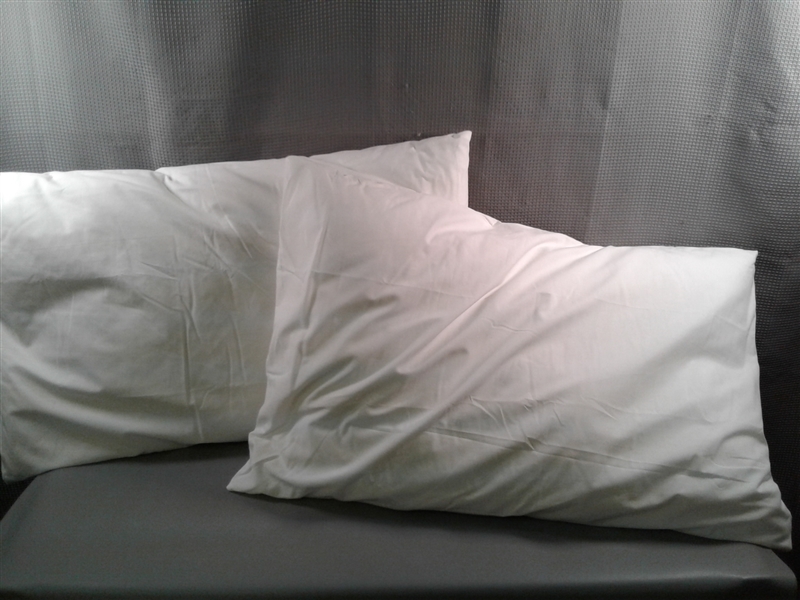 4 Standard Pillows with Pillow Cases