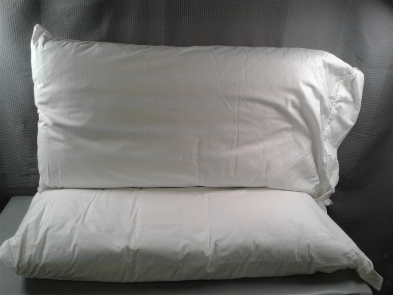 Pair Of King Size Ralph Lauren Pillows and Pillow Cases